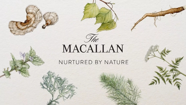 The Macallan Nurtured by Nature with Every Step Key Visual 