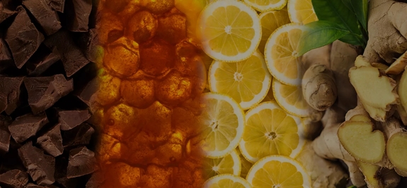 the macallan whisky tasting notes visual