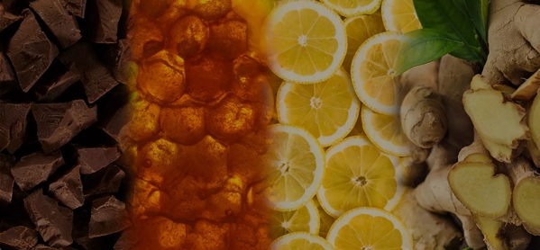 the macallan whisky tasting notes visual